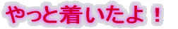 ����ƒ�������I